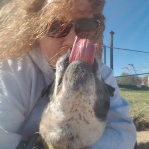 Meet your Posher, Holly